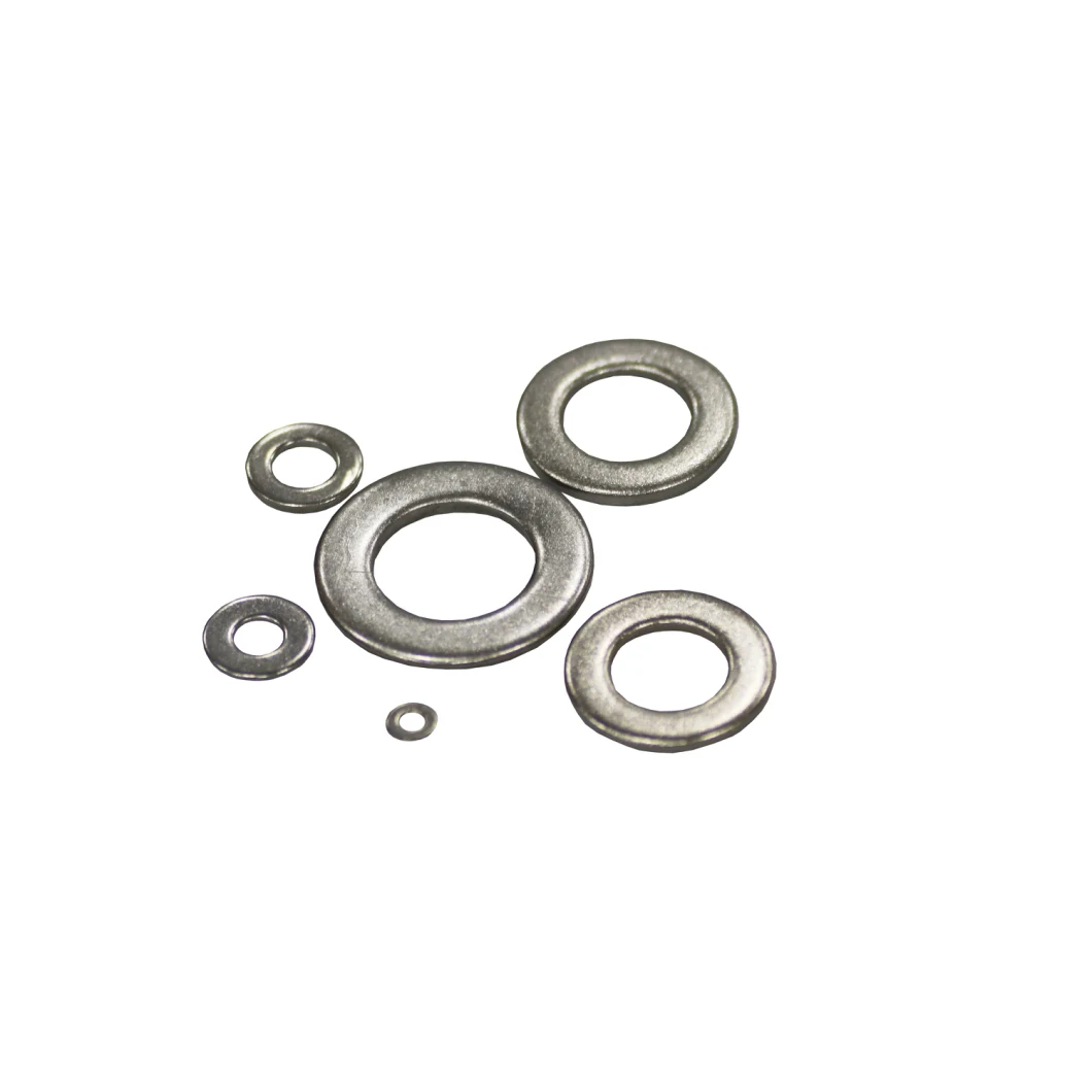 Stainless Steel 304 316 Square Flat Spring Washer