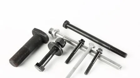 Hex Bolt /Flange Bolt/ Carriage Bolt/Anchor Bolt