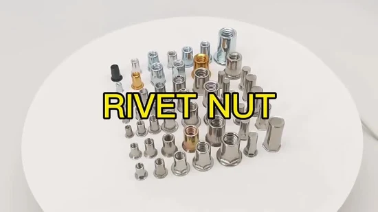 High-Quality Wholesale Csk Flat Reduced Head Rivet Nut Blind Rivet