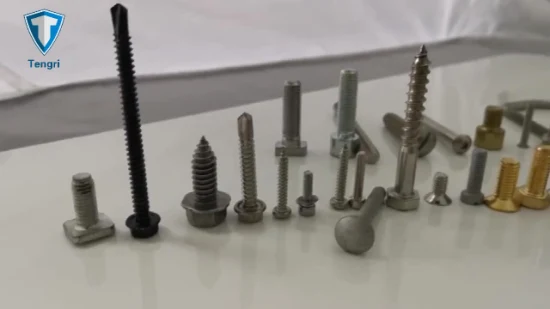 Duplex 2205 Fasteners Torx Pan Head Self Drilling Screw Anti-Theft Roofing Screw Tamper Proof Machine Screw Torx Tek Screws