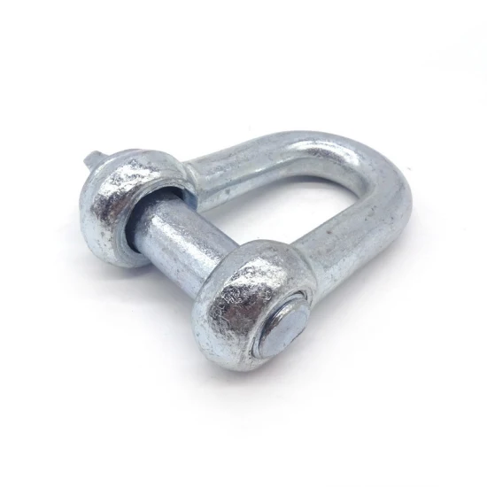 Hot Dipped Galvanized Bolt Type Forged D Shackle Bow Hook Rigging